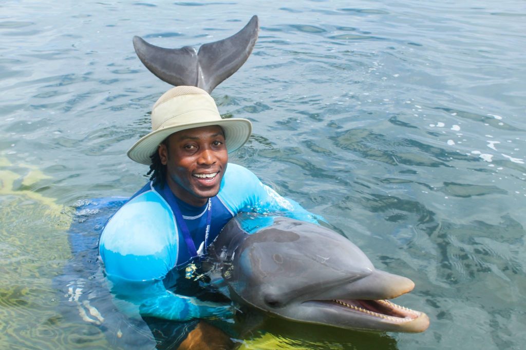 Dolphins Cove Ocho Rios