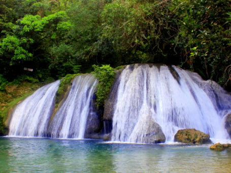 REACH FALLS JAMAICA