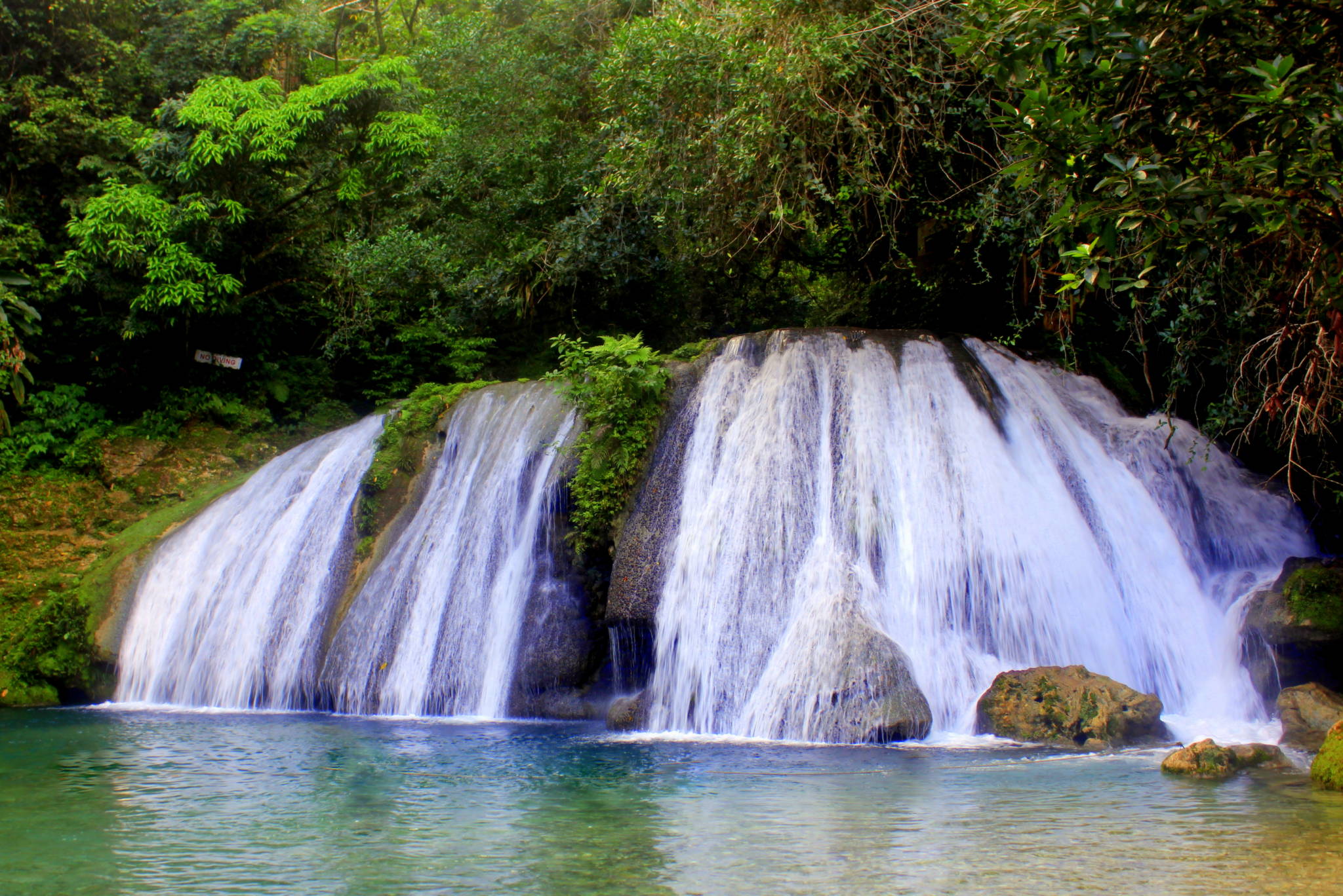 REACH FALLS JAMAICA