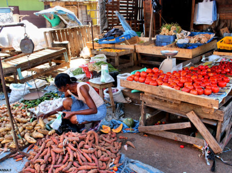 CORONATION MARKET