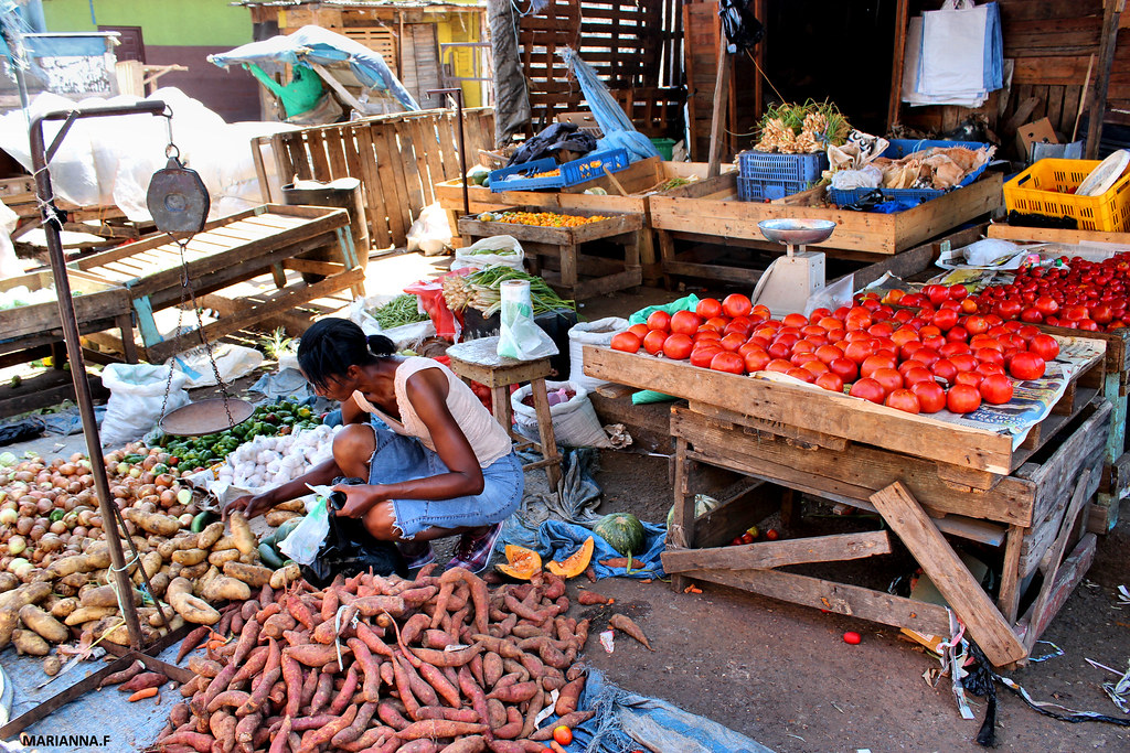 CORONATION MARKET