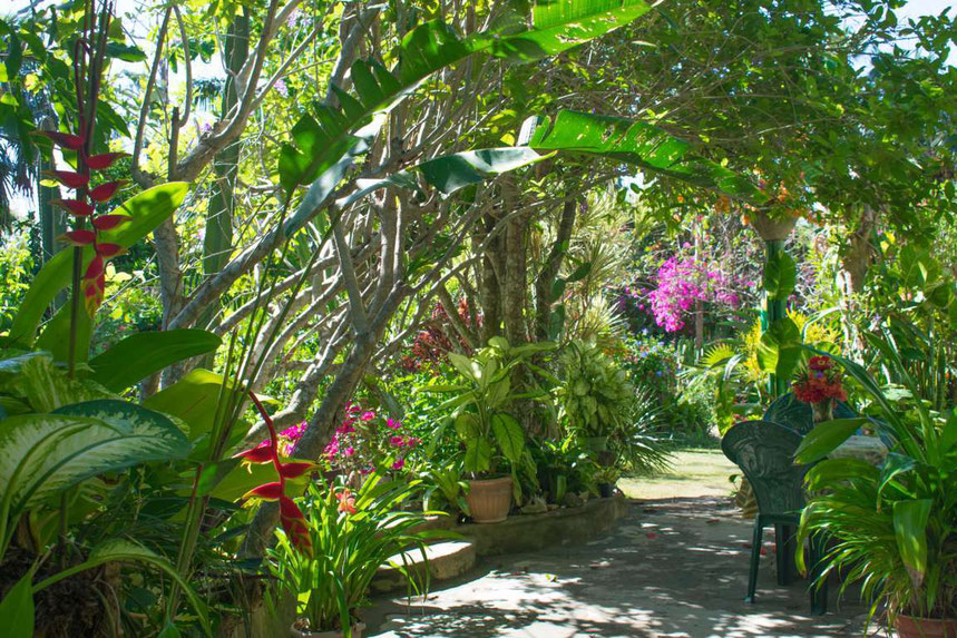 BARNEY’S FLOWER AND HUMMINGBIRD GARDEN