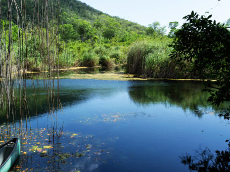 ALLIGATOR HOLE WILDLIFE RESERVE